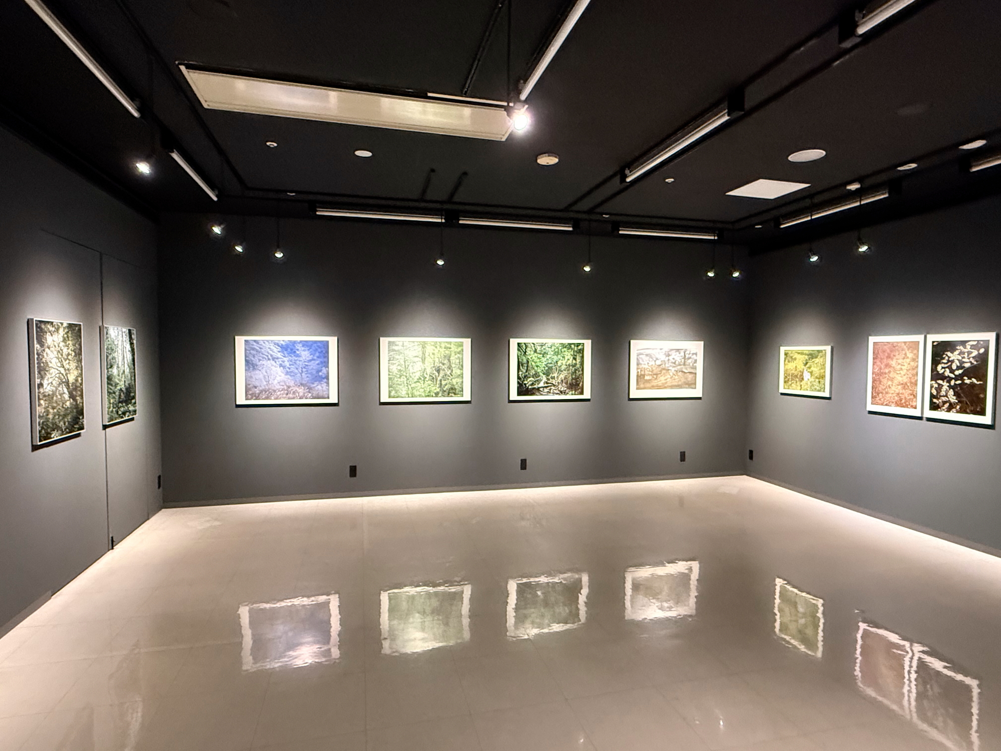 中島沙織写真展「physis  共に在ること」